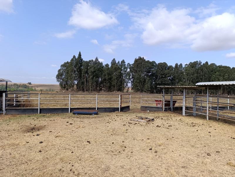 4 Bedroom Property for Sale in Middelburg Eastern Cape
